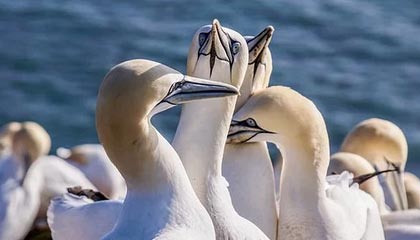 九游(jiuyou)官方网站-青训成功经验在多地推广，地方青训体系不断优化升级，青训训练