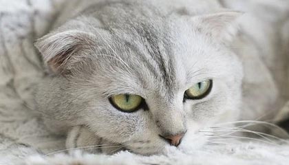 九游(jiuyou)官方网站-青训成功经验在多地推广，地方青训体系不断优化升级，青训训练