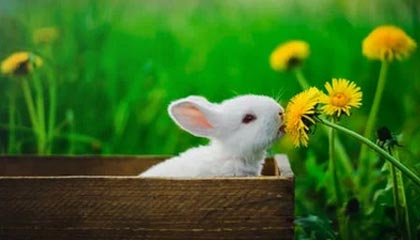 九游娱乐(jiuyou)官网-球迷投票爆料：最具争议的裁判判罚瞬间，球员裁判